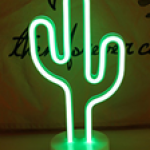 Cactus Decoration Light